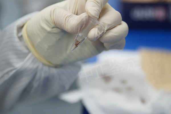 株洲个人亲子鉴定机构预约办理,