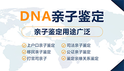 株洲司法DNA亲子鉴定多少钱一次，株洲专业司法亲子鉴定中心