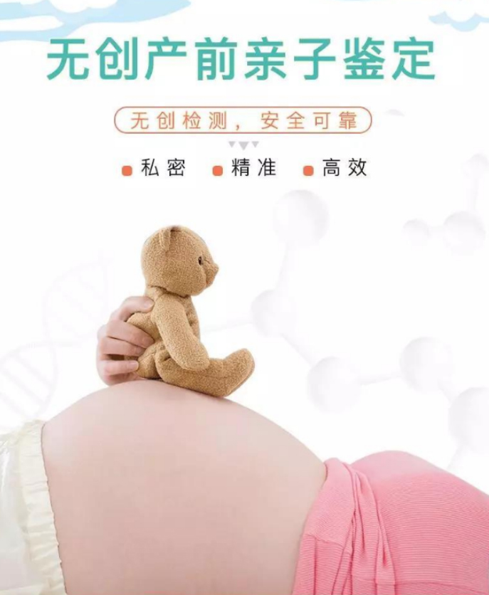 株洲怀孕7个月如何办理DNA亲子鉴定,株洲孕期亲子鉴定办理费用 株洲怀孕7个月如何办理DNA亲子鉴定,株洲孕期亲子鉴定办理费用