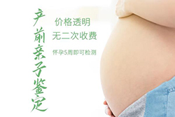 株洲怀孕7个月如何办理DNA亲子鉴定，株洲孕期亲子鉴定办理费用