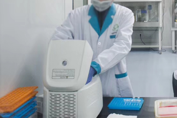 株洲入学DNA鉴定怎么做,